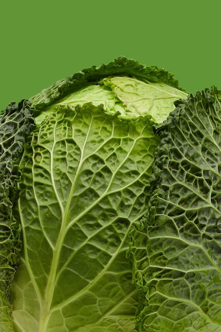 Garden Bounty: Fresh-Picked Veggie Medley